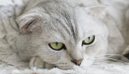 开云·Kaiyun网页版-国足控球率与得分关系分析，足球控球率是什么意思