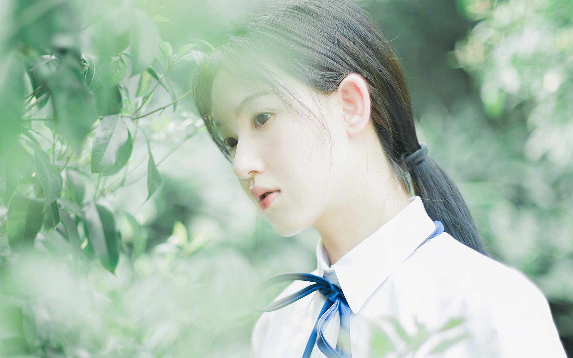 传奇教练：那些战术大师的执教哲学，传奇教练徽章
