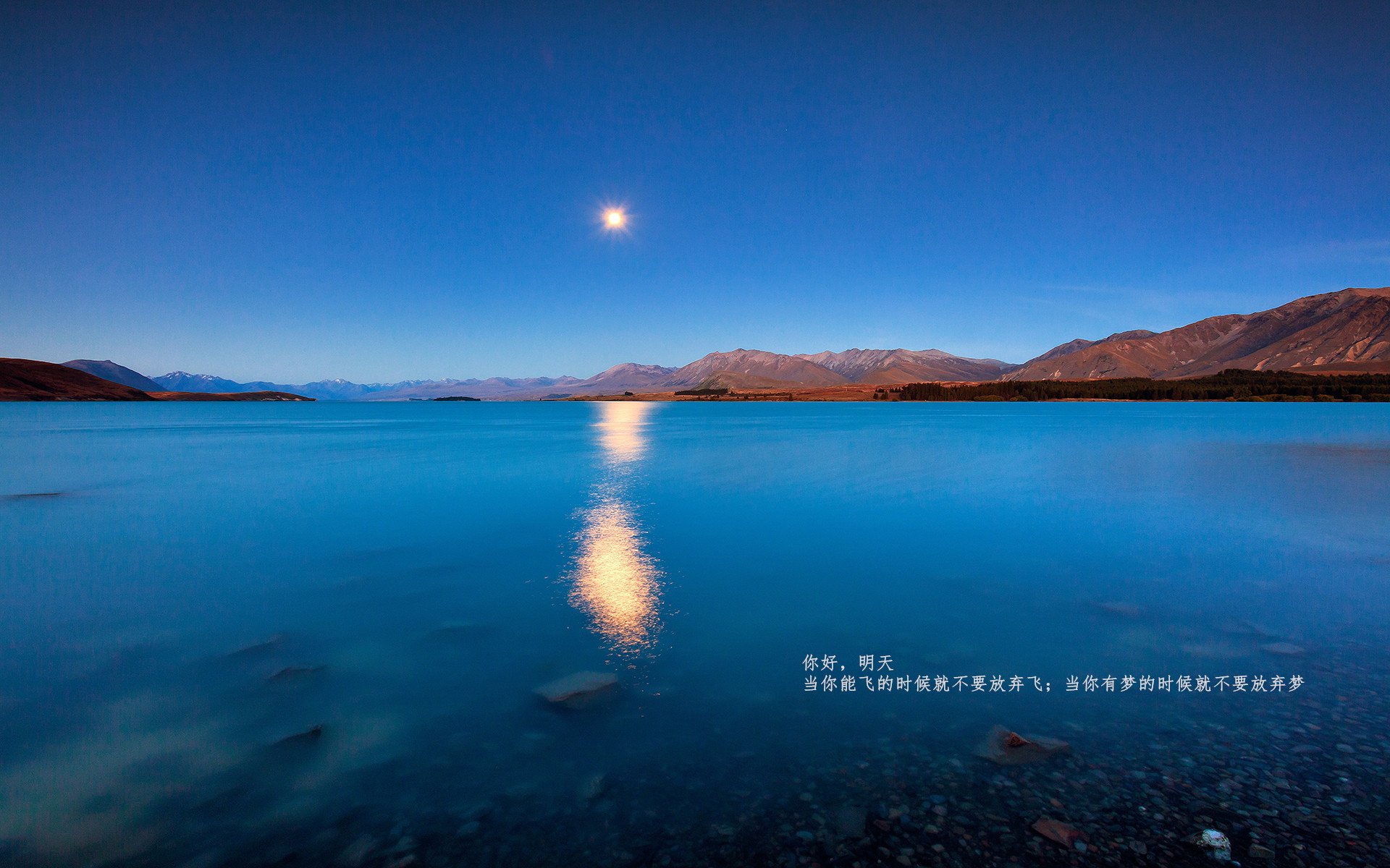 篮球运动员竞技状态实时监控及训练调整研究,篮球运动监测