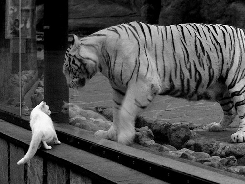 CBA多支球队加强球员体能训练,cba球队增加