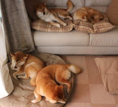 中国女篮精神感动球迷 比赛现场掌声雷动,中国女篮鼓励视频