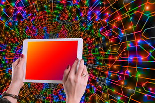 开云中国大陆-体育新闻中心主办体育类数字创作者发展研讨会，体育产业数字化创新