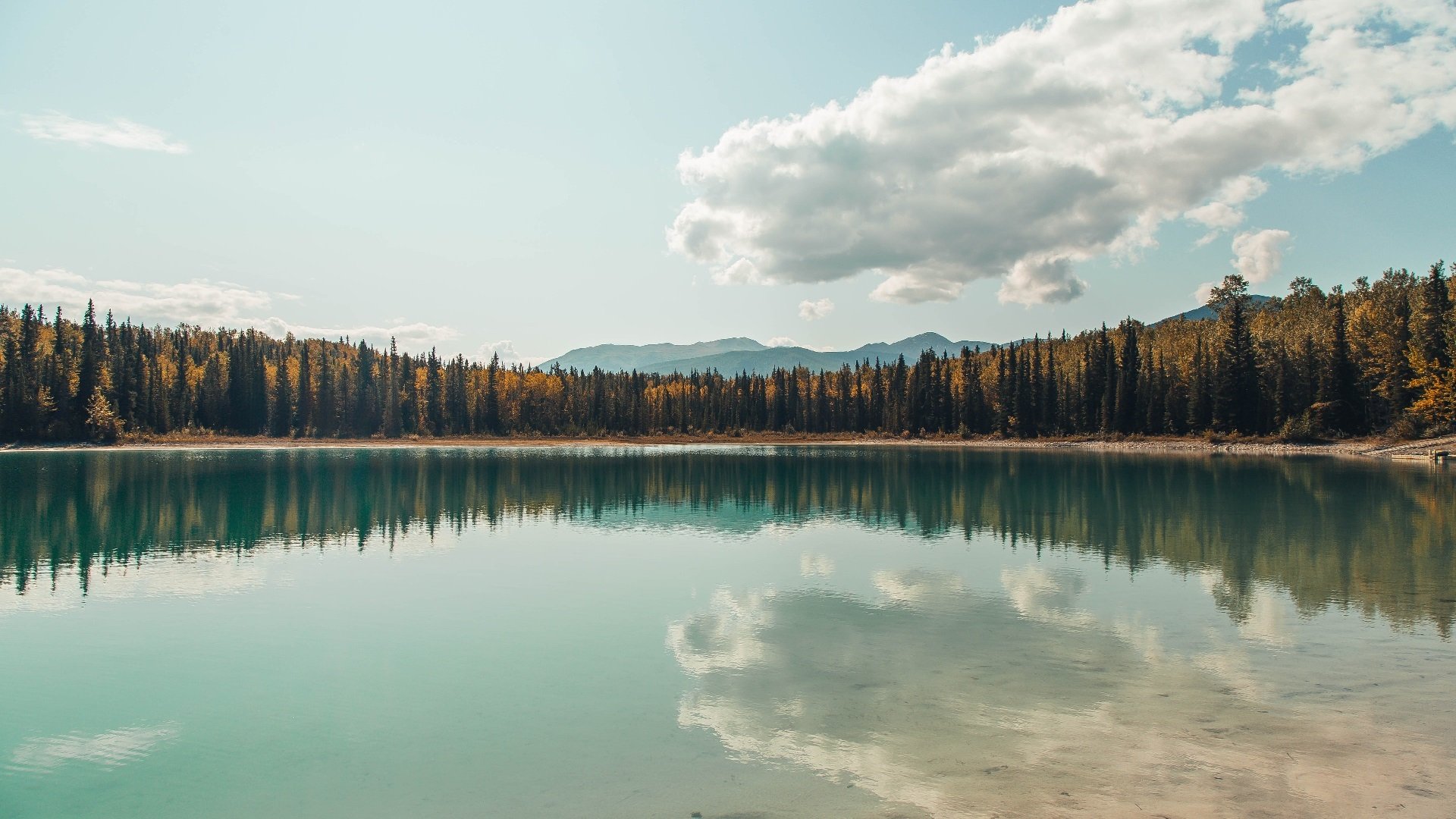 开云官网APP下载-美国队赛制分析：如何利用赛制改善比赛节奏与球员稳定性，美国队比赛赛程