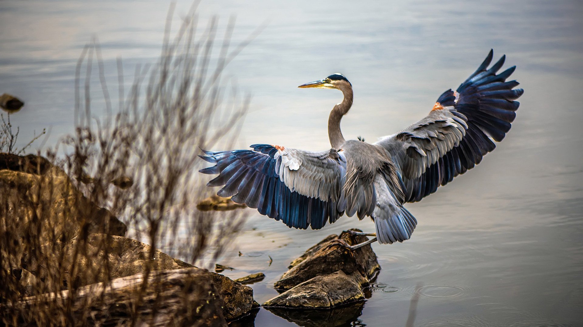 kaiyun网站-中国女篮在亚洲杯决赛中击败日本，荣获冠军