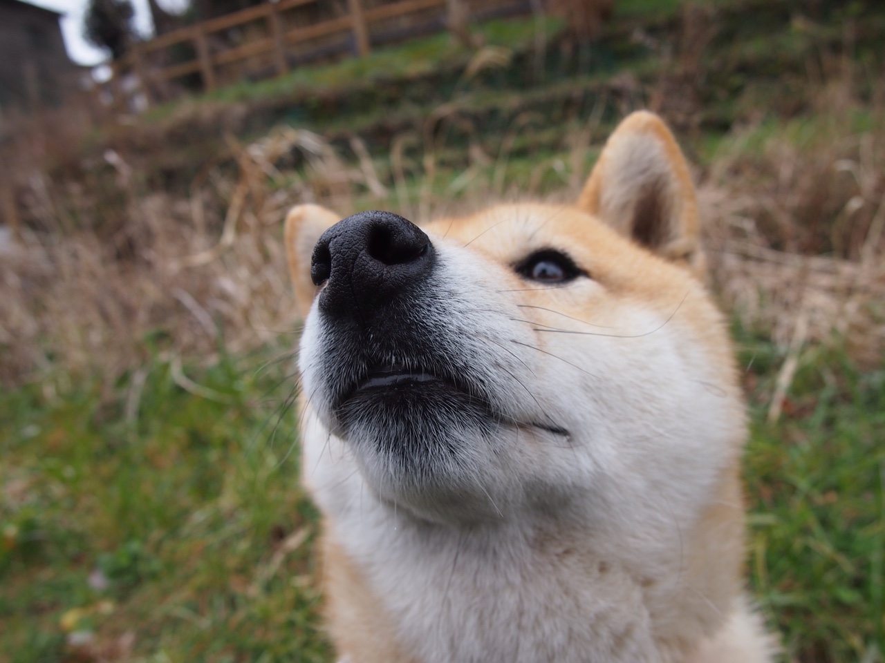 中国队决赛突破极限刷新个人纪录,中国队夺冠瞬间总集合