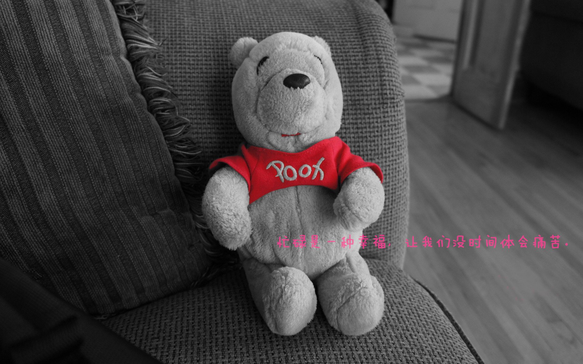 乌拉圭队士气高昂,瞄准未来国际赛事