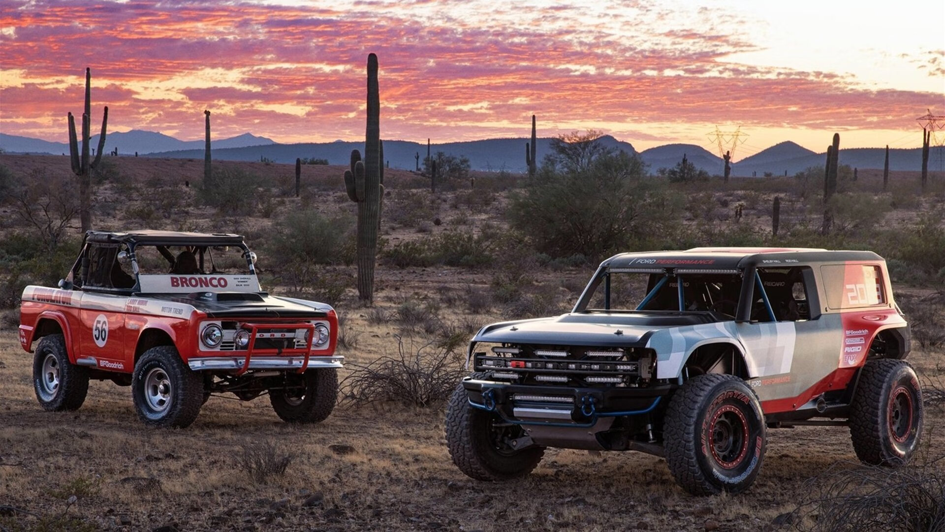 伊拉克男篮在西亚锦标赛中奋勇争先,迈向奥运的关键一步,伊拉克男篮排名