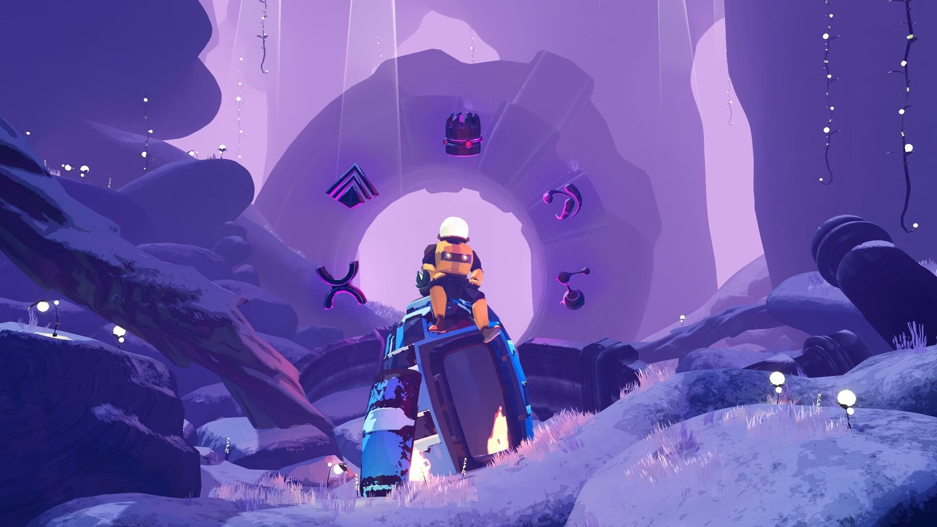 南非羚羊队:每一次反击都令人惊叹,速度与力量的完美结合,非洲羚羊种类大全