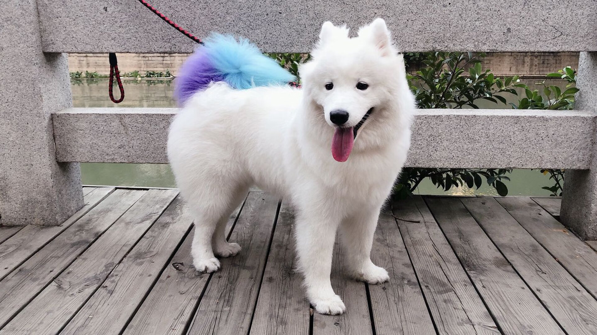 开云·Kaiyun网页版-塞维利亚保持强势，争夺欧战名额