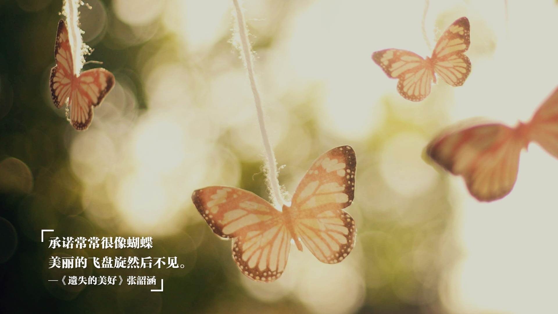 希腊女篮在欧洲锦标赛中再夺金牌,传承荣耀不断延续,希腊女子篮球比赛直播