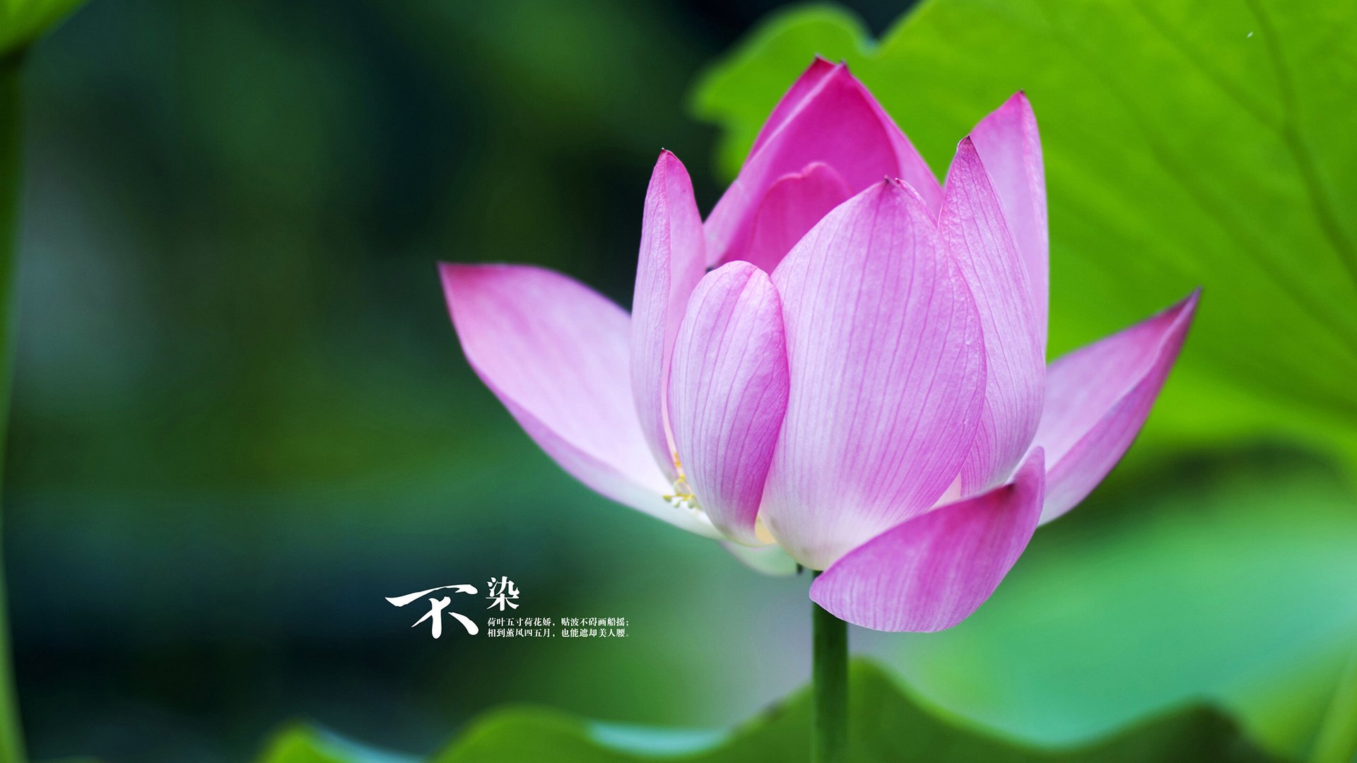 Kaiyun官方登录入口-摩洛哥男篮在非洲锦标赛中迎战强敌，体育实力不断提升，摩洛哥比赛视频