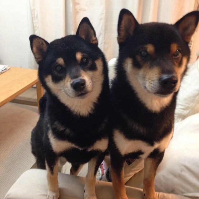 李娜称赞中国青少年网球进步明显,李娜网球水平等级