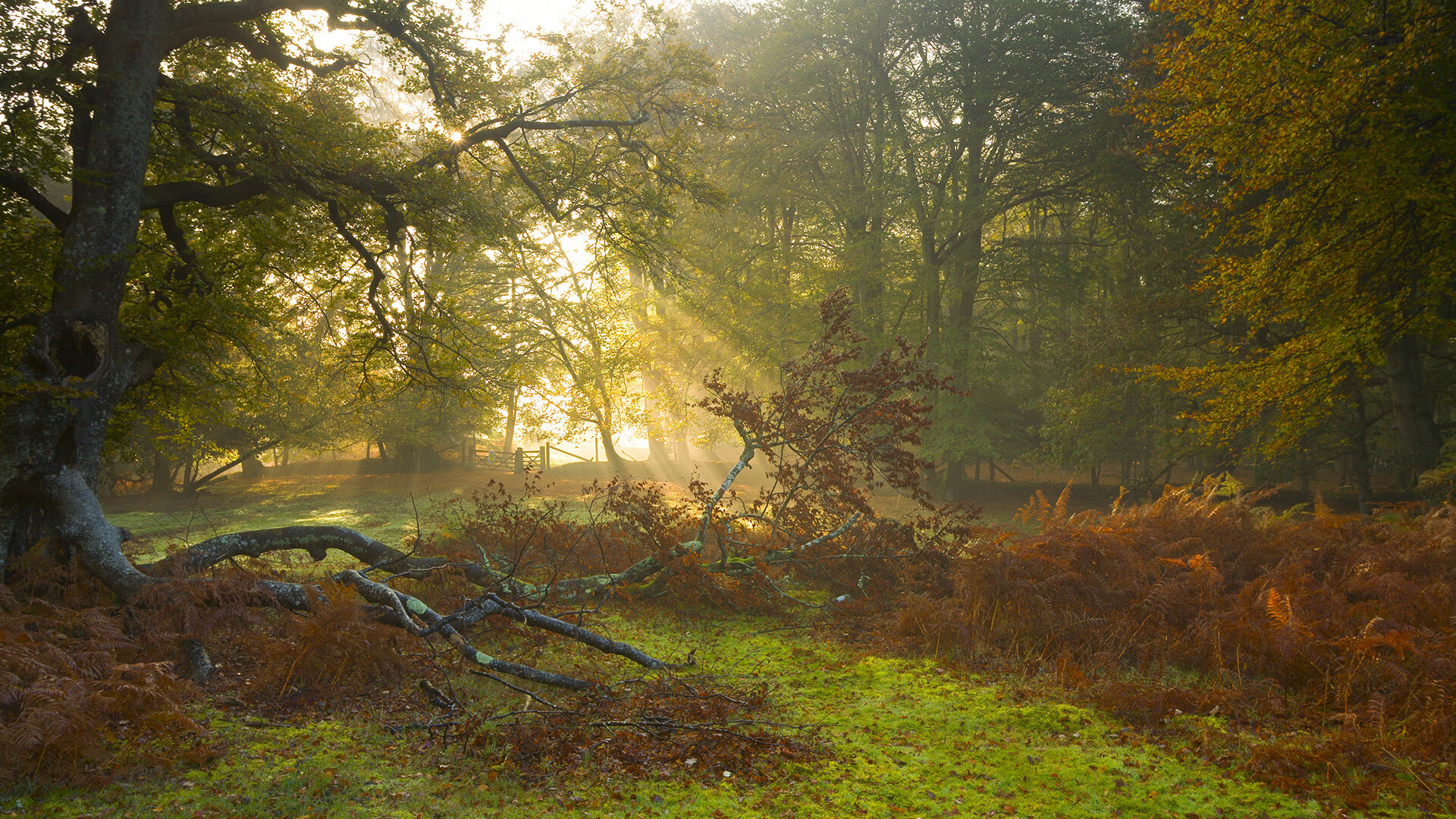 柯尔赞稳步晋级决赛展现潜力,赞达亚·科尔曼采访